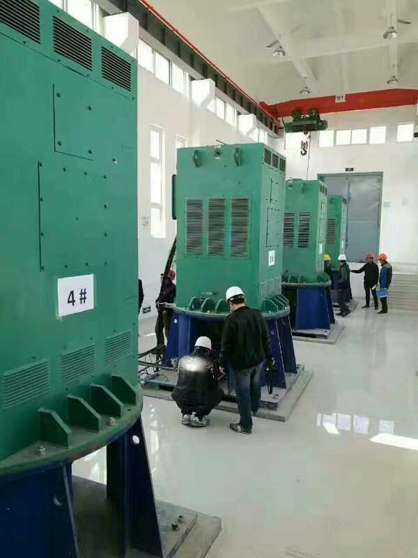 武威某污水处理厂使用我厂的立式高压电机安装现场