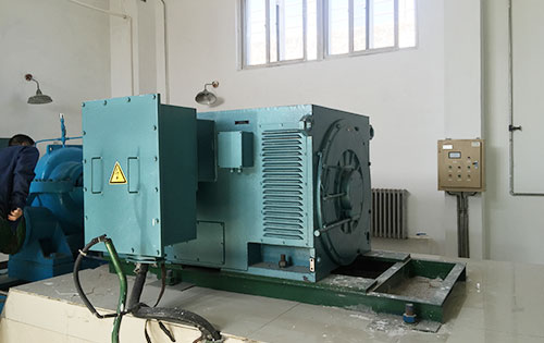 武威某水电站工程主水泵使用我公司高压电机